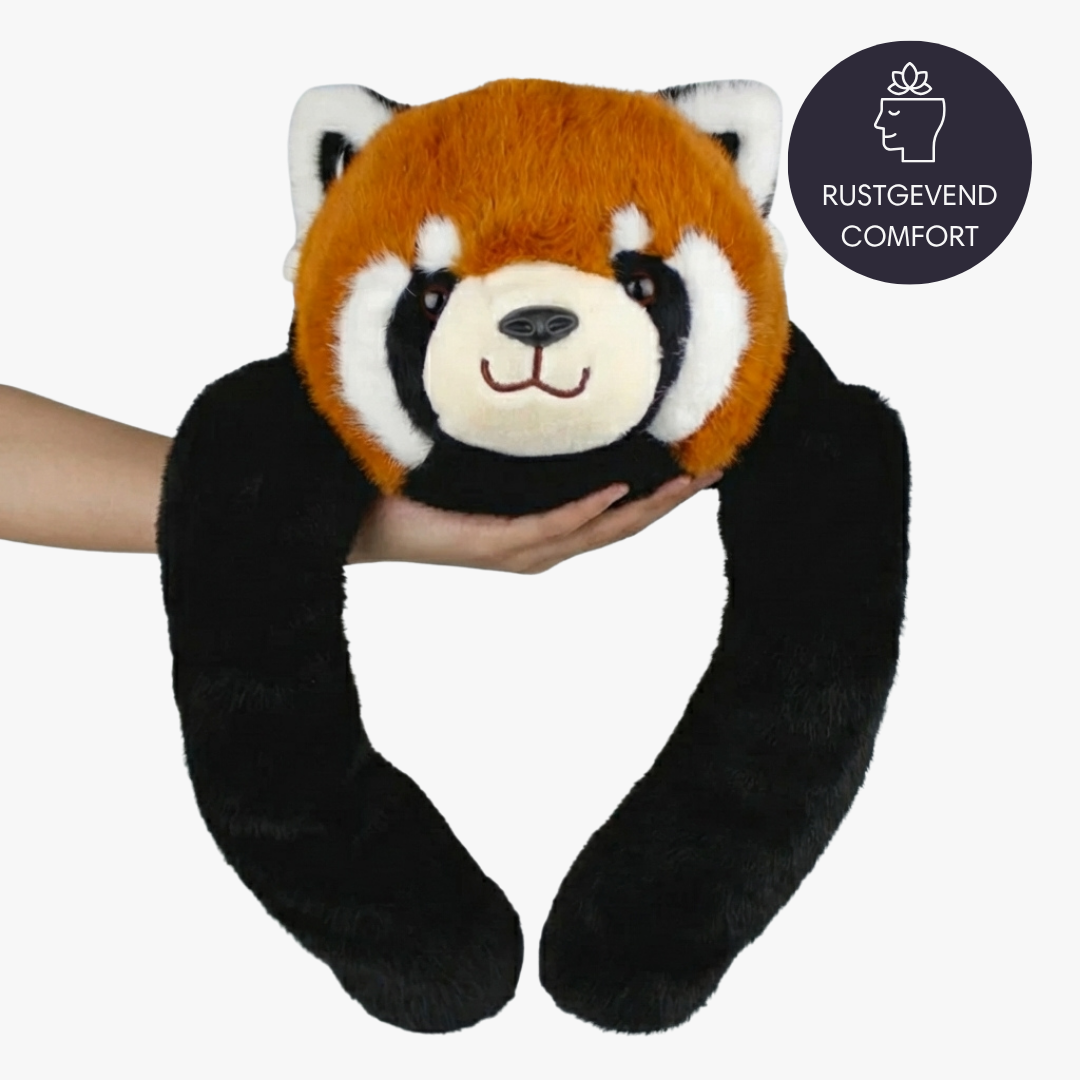 Roxy the Red Panda