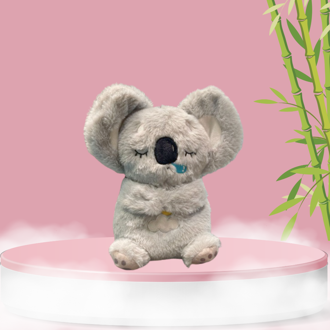 Calming Koala