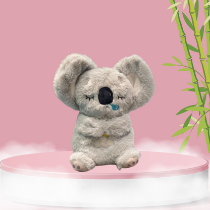 Calming Koala